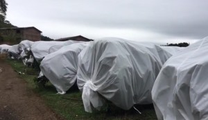 Non-woven cold cloth